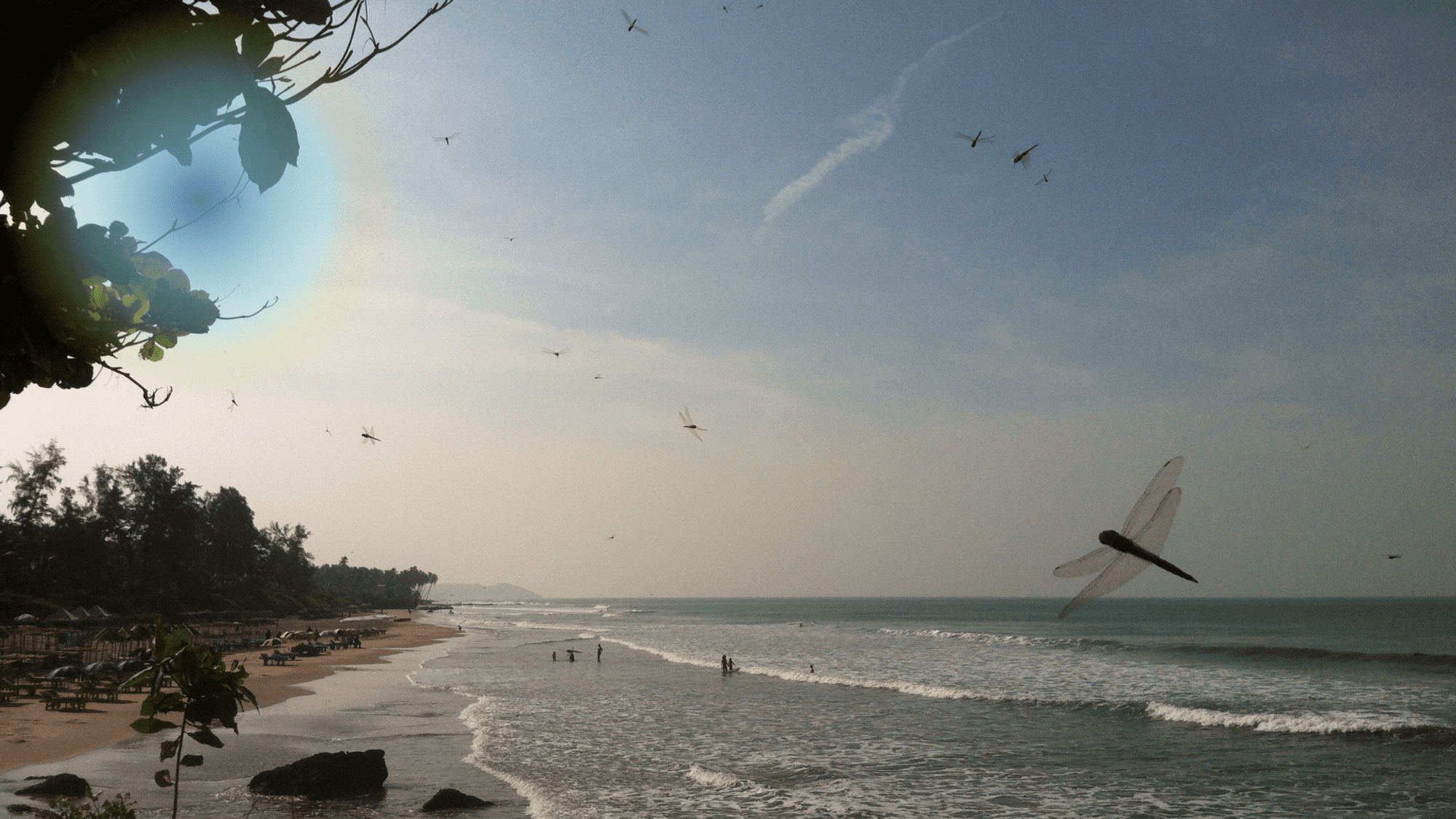 Hero image for North Goa.
